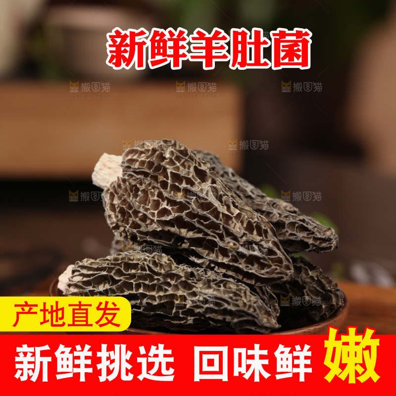 羊肚菌