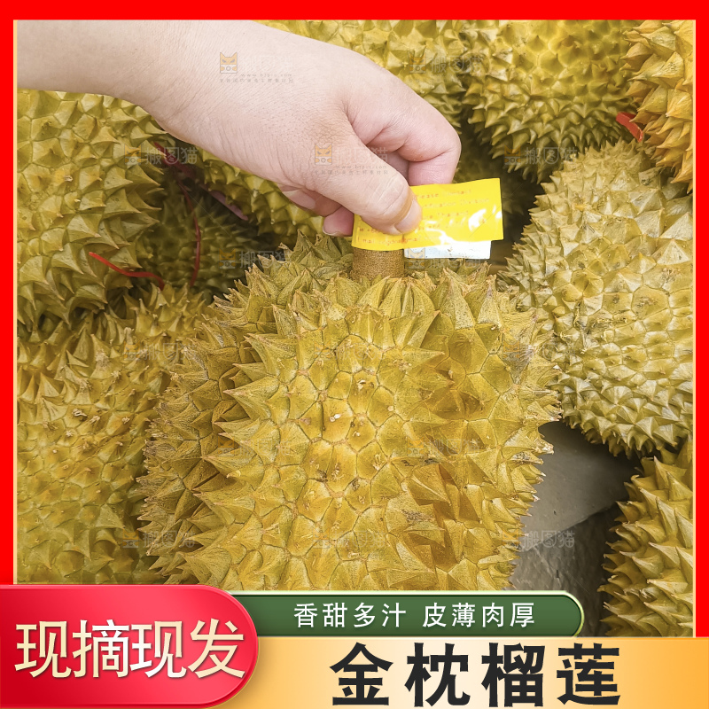 堆放着的金枕榴莲