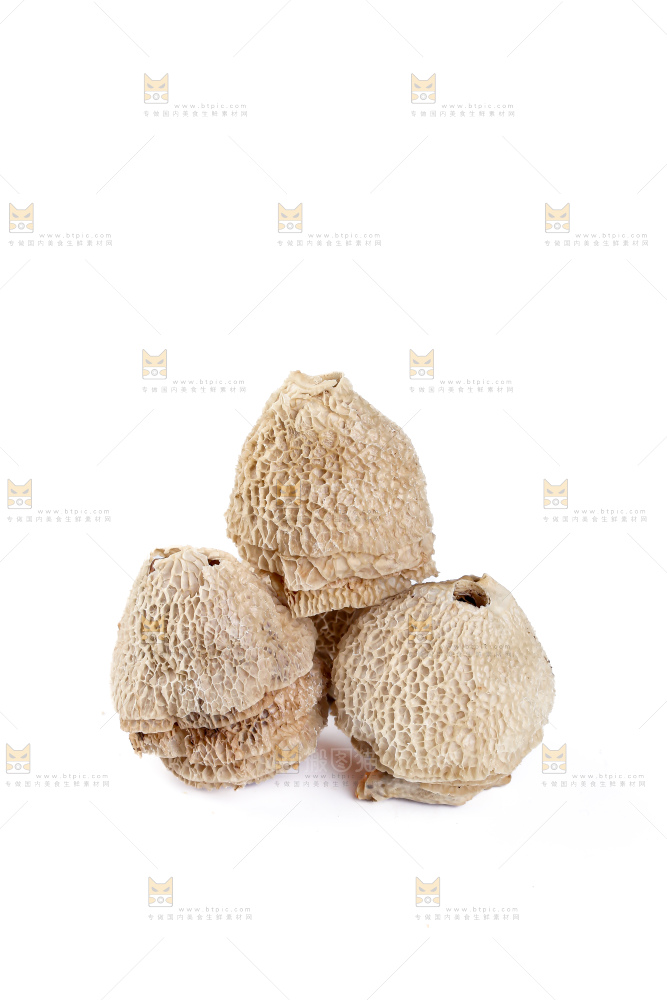 竹毛肚