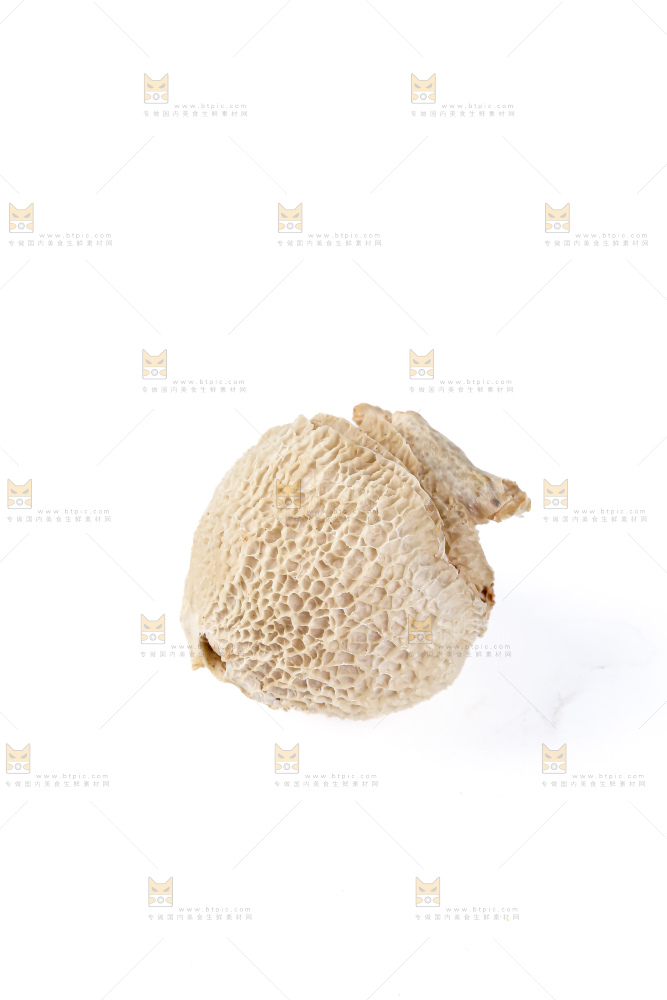 竹毛肚