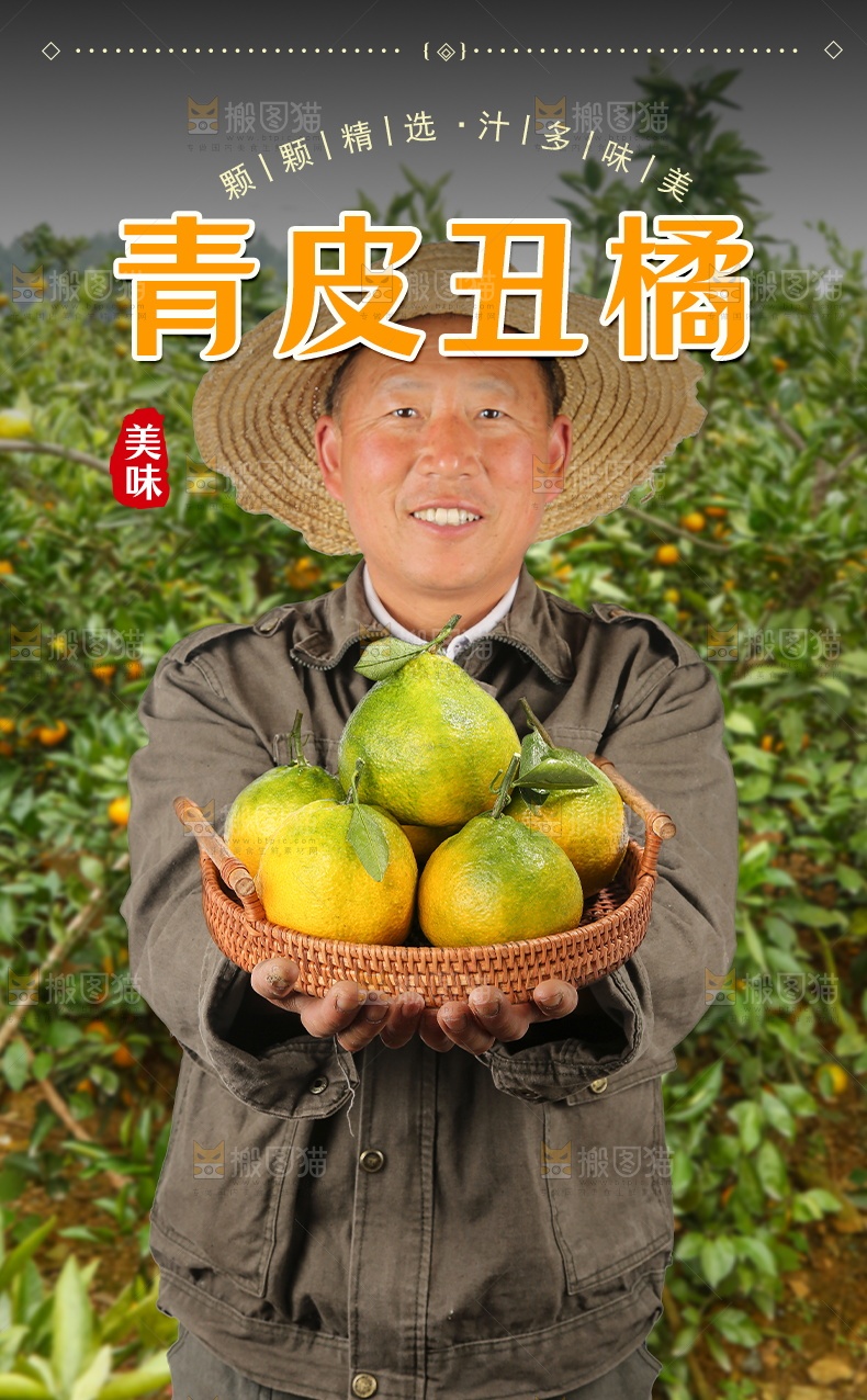 青皮丑橘详情页