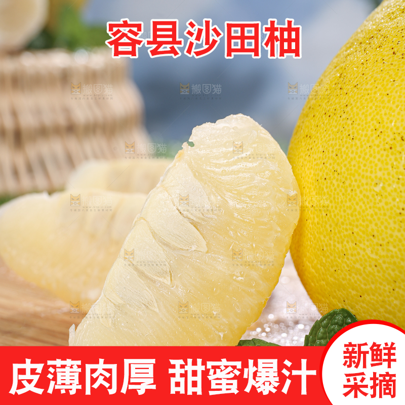 沙田柚