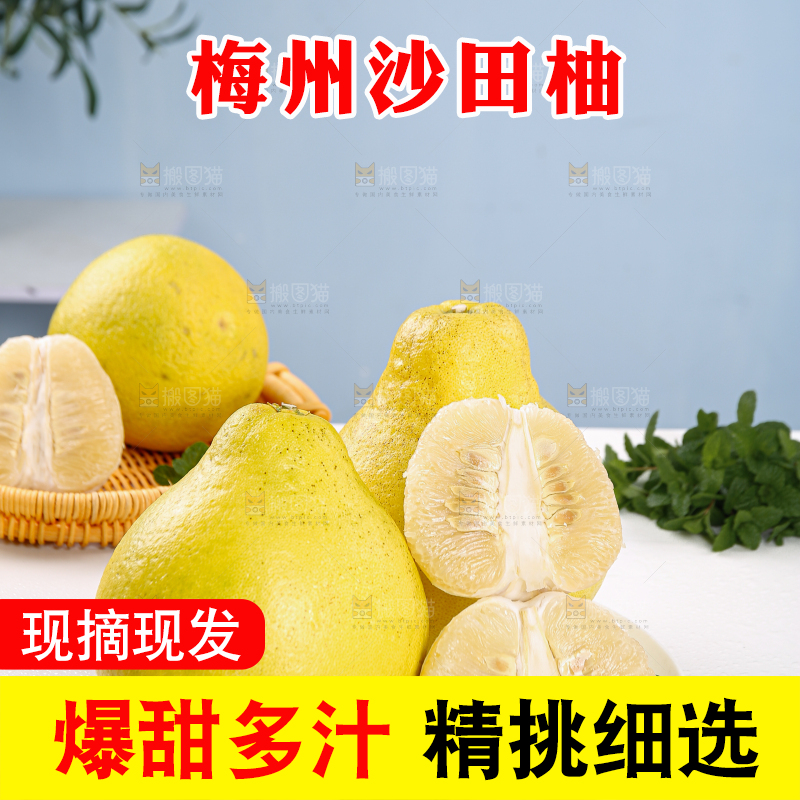 沙田柚