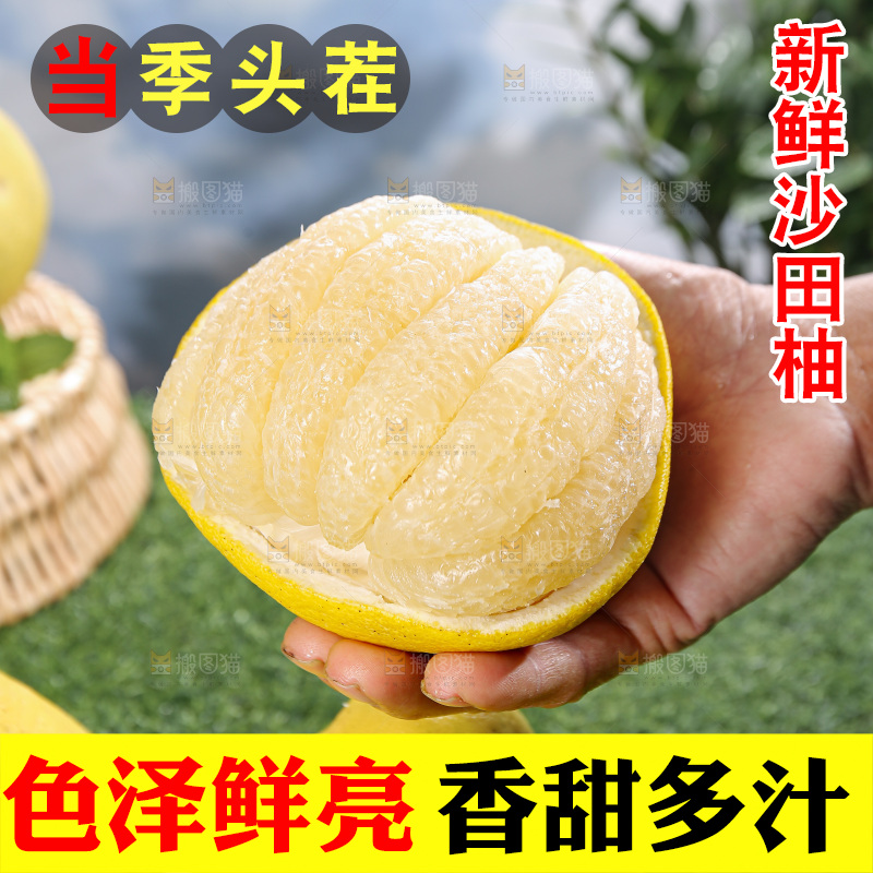 沙田柚