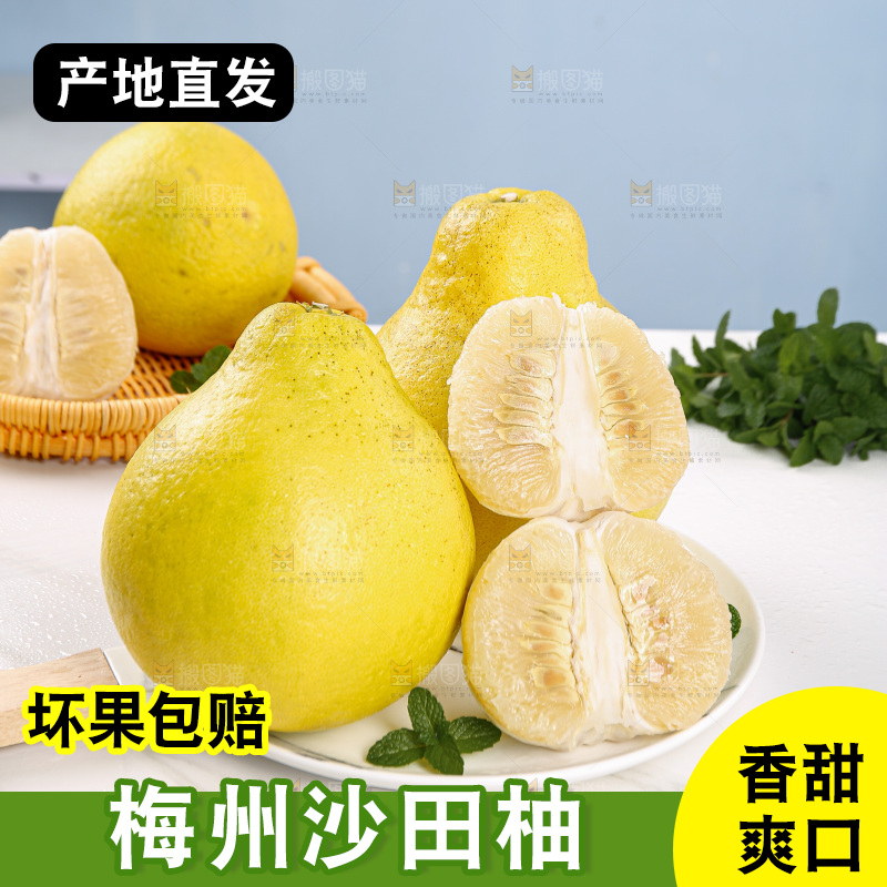 沙田柚