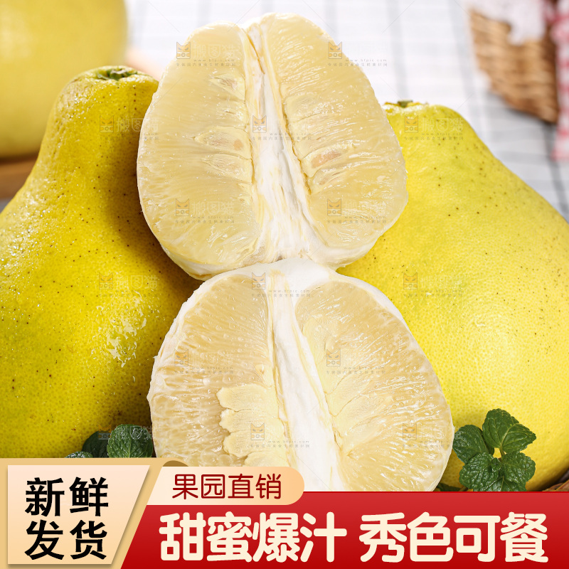 沙田柚