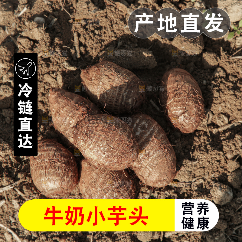 牛奶小芋头