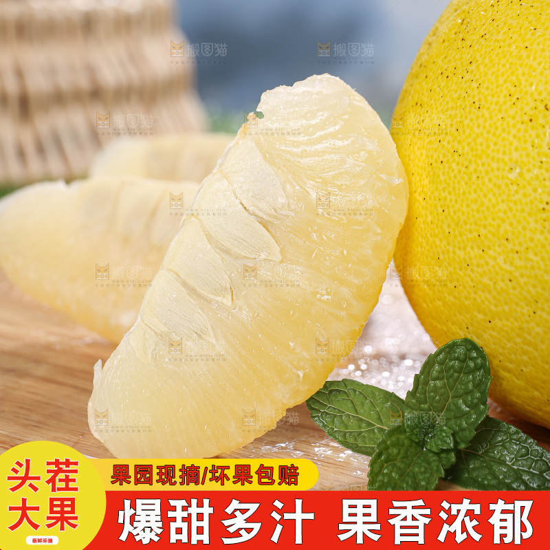 沙田柚
