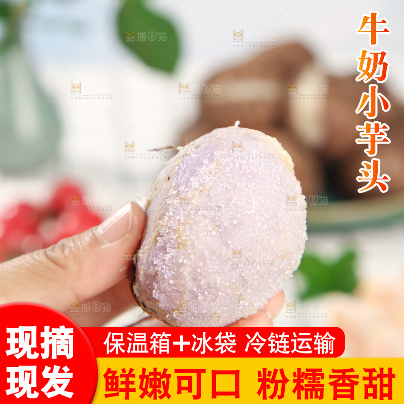 牛奶小芋头