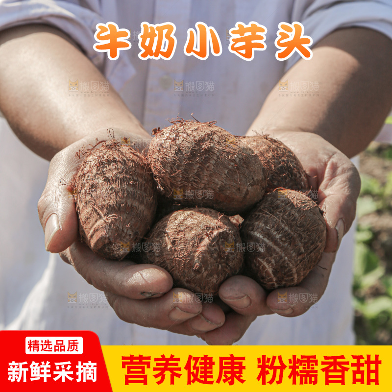牛奶小芋头