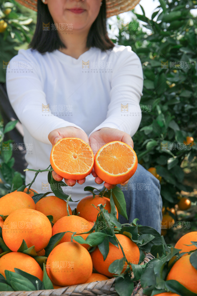 爱媛果冻橙