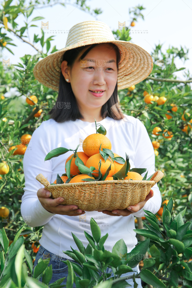 爱媛果冻橙