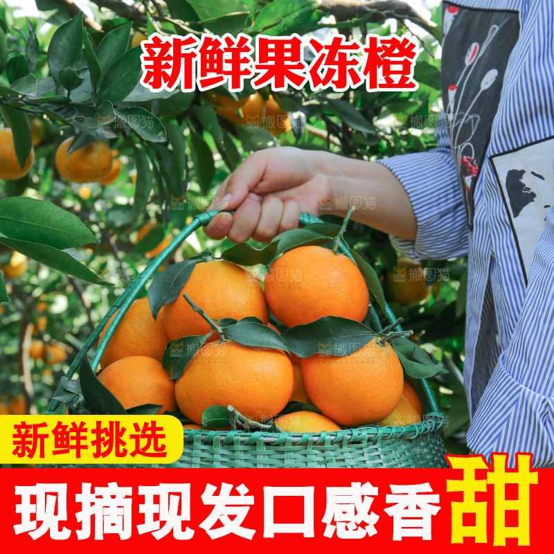爱媛果冻橙