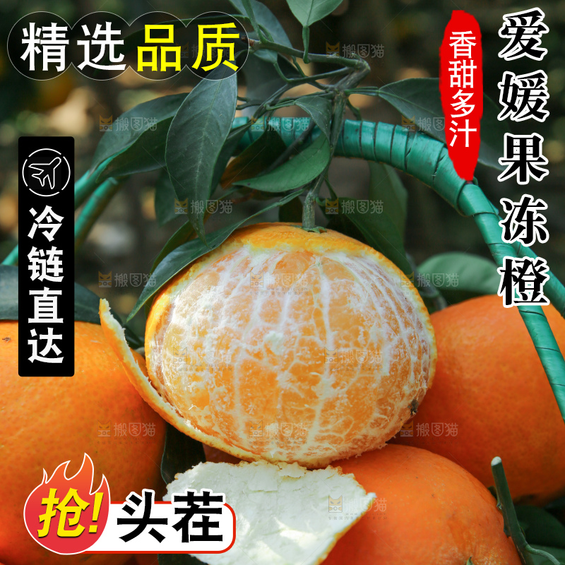 爱媛果冻橙