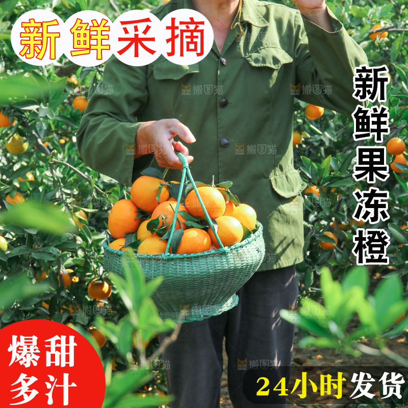 爱媛果冻橙