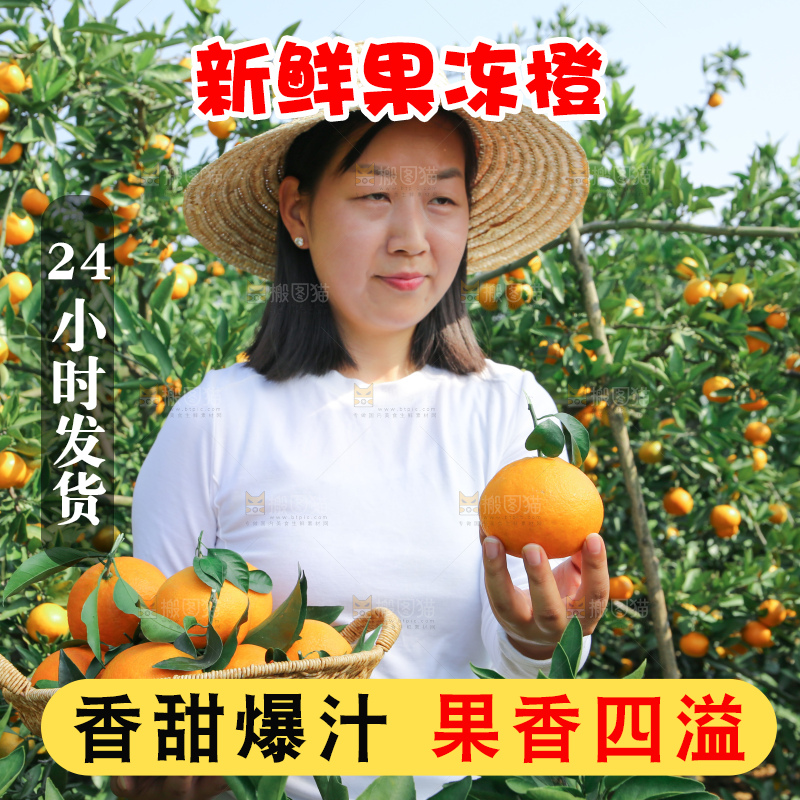 爱媛果冻橙