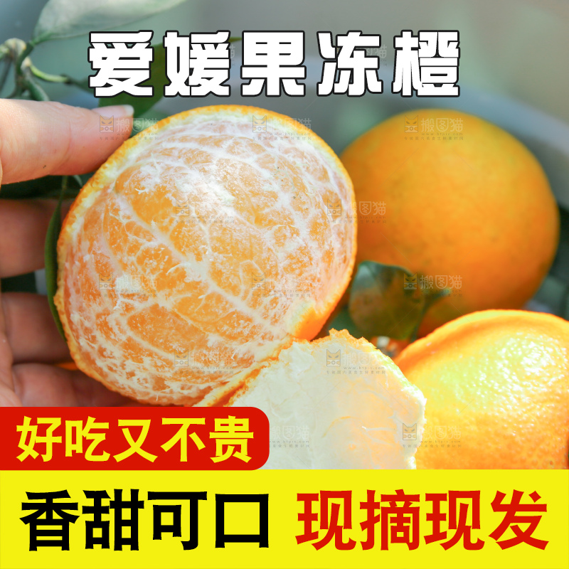 爱媛果冻橙