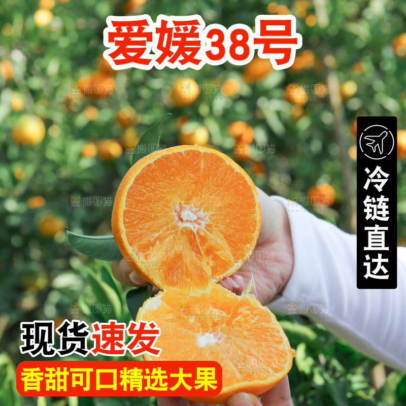 爱媛果冻橙