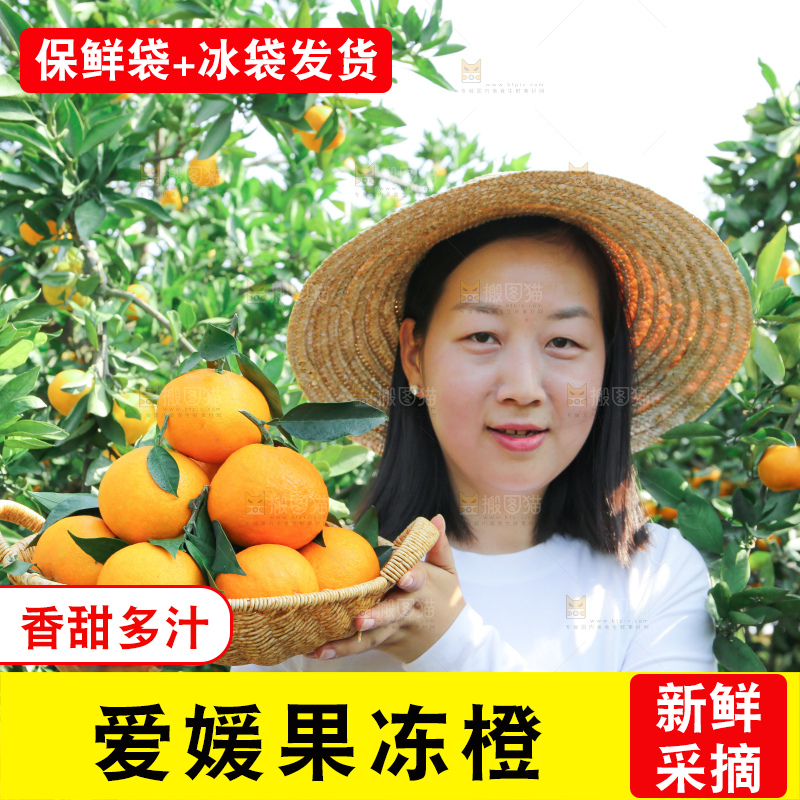 爱媛果冻橙