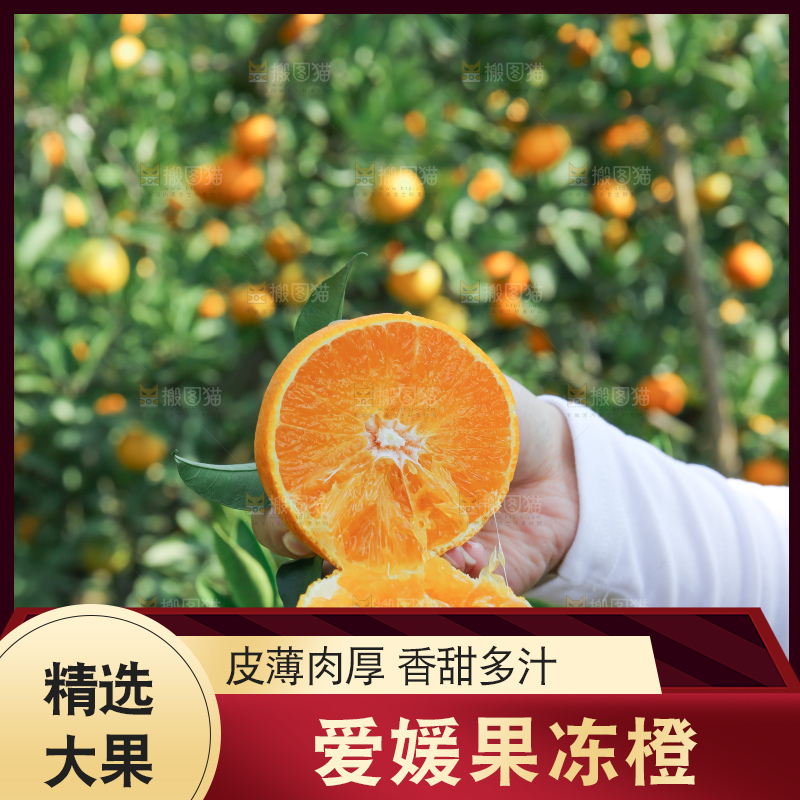 爱媛果冻橙