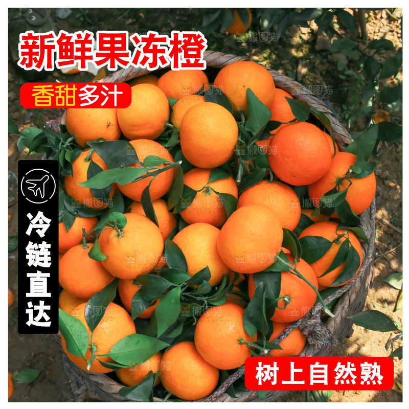 爱媛果冻橙