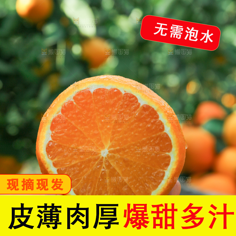 爱媛果冻橙