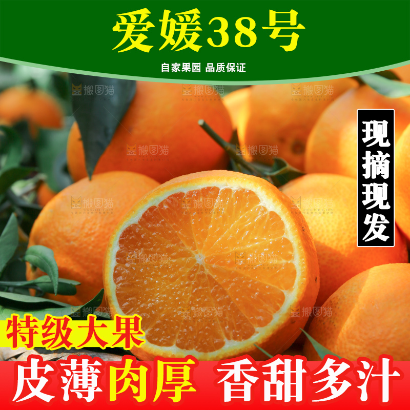 爱媛果冻橙