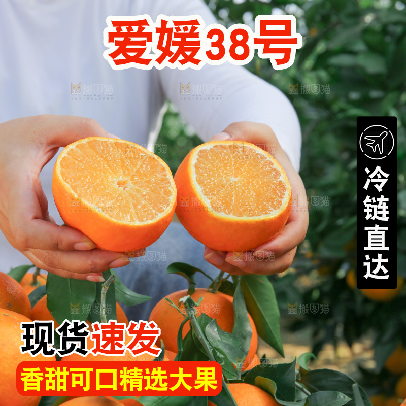 爱媛果冻橙