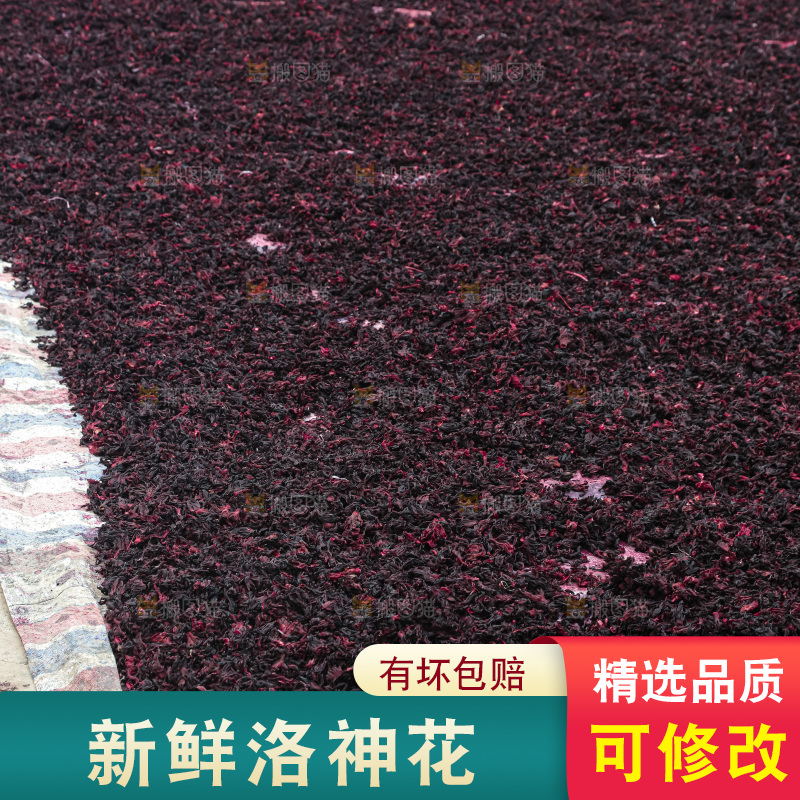 洛神花