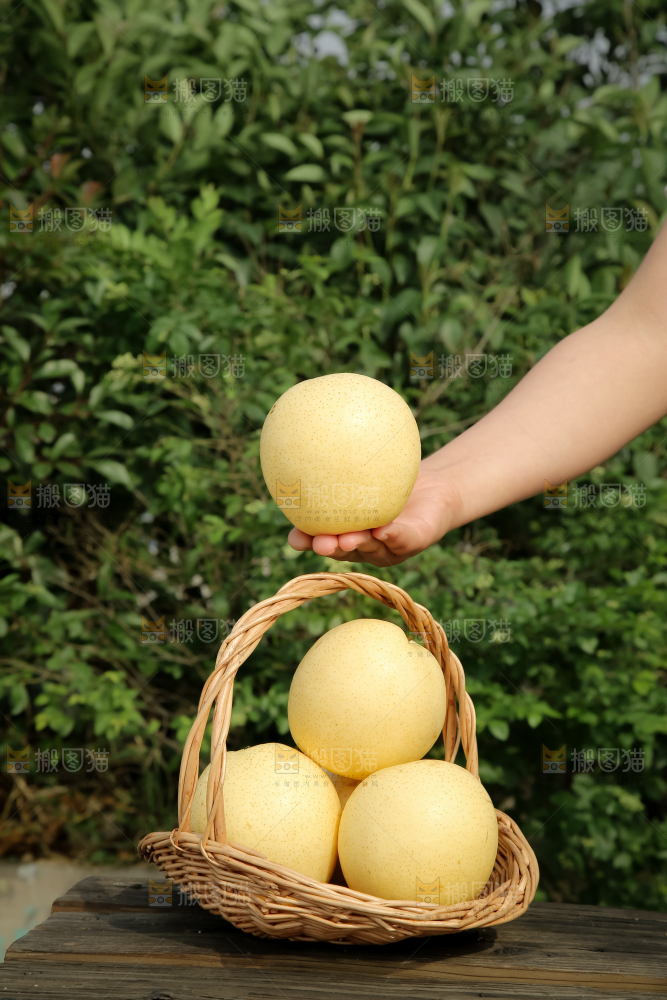 皇冠梨