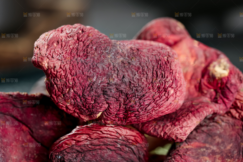 红菇