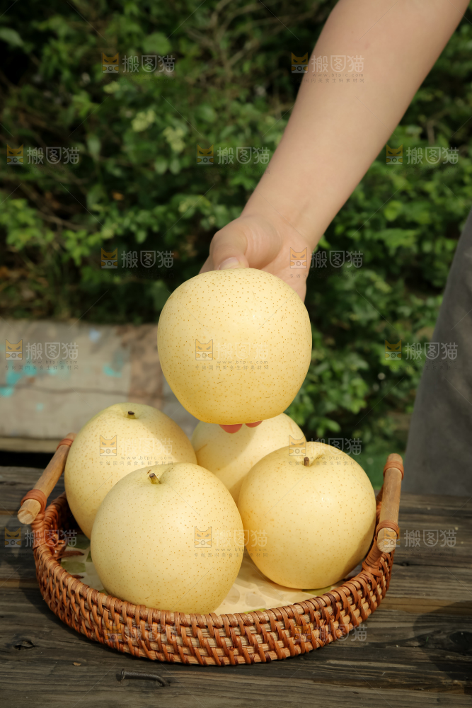 皇冠梨