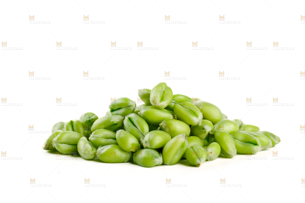 青麦仁