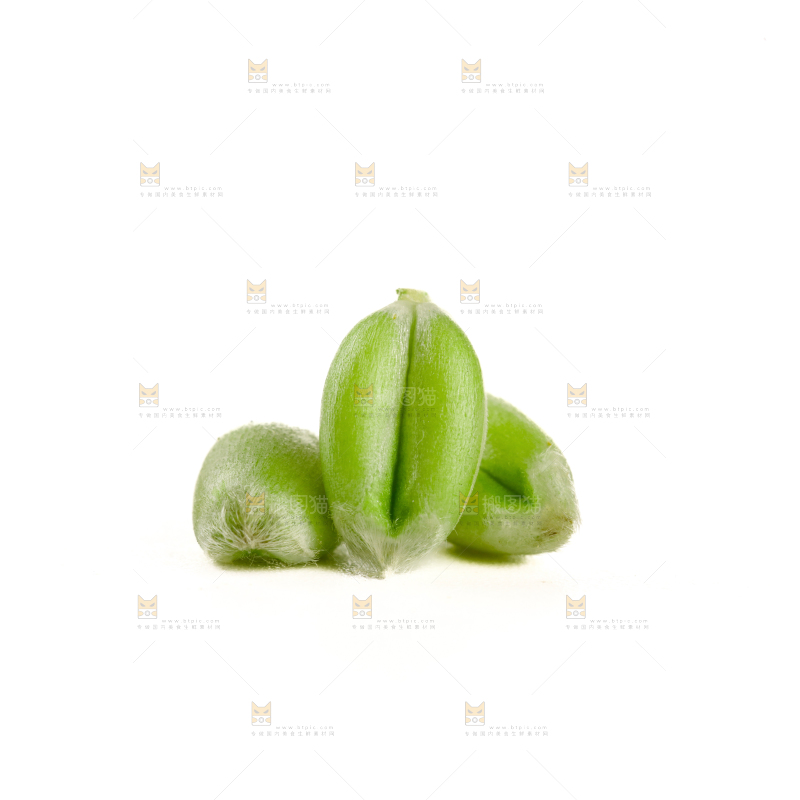 青麦仁