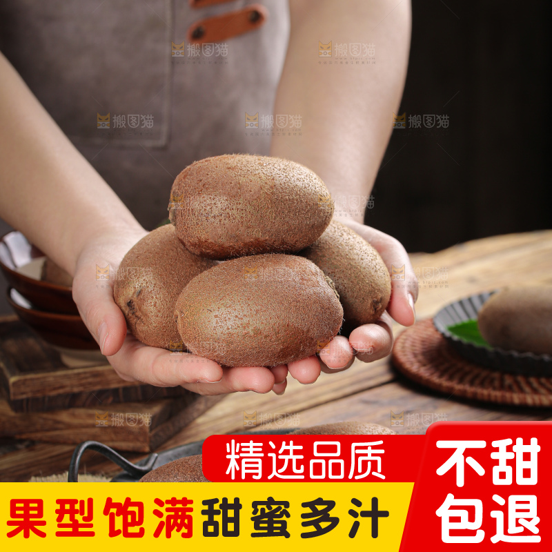 徐香猕猴桃