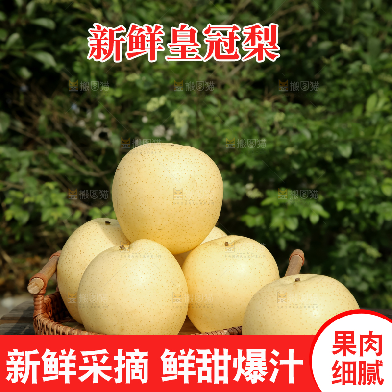皇冠梨