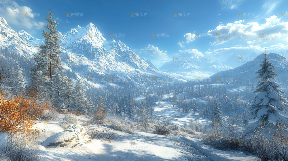 雪乡风景雪旅行自然