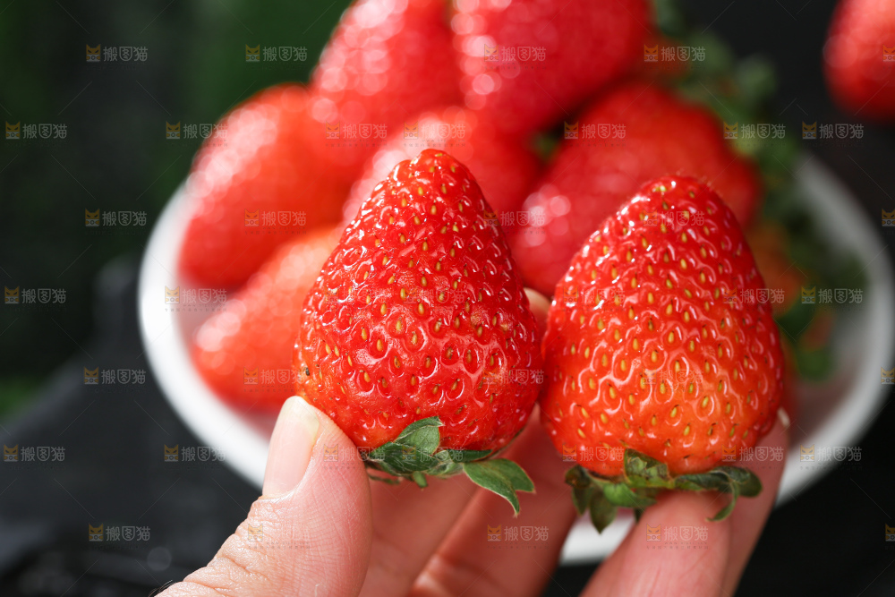 草莓