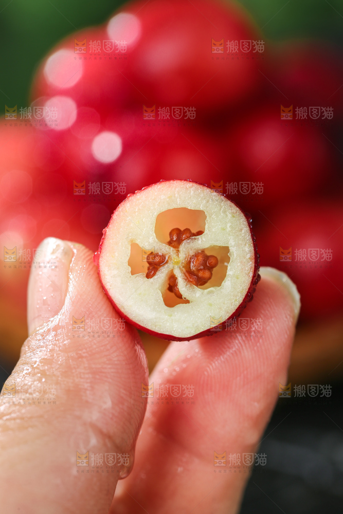 蔓越莓
