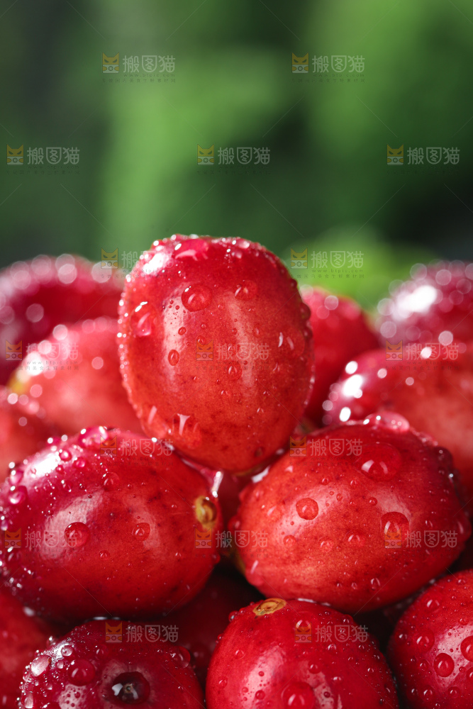 蔓越莓