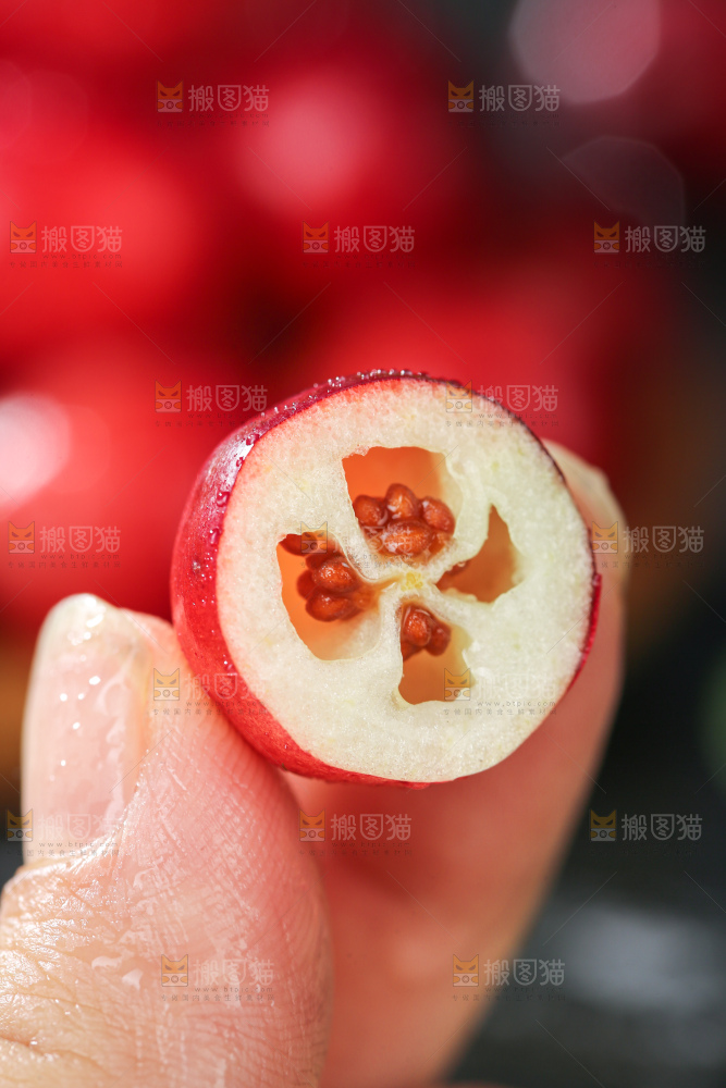 蔓越莓