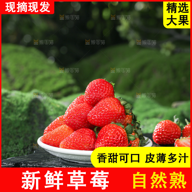 草莓