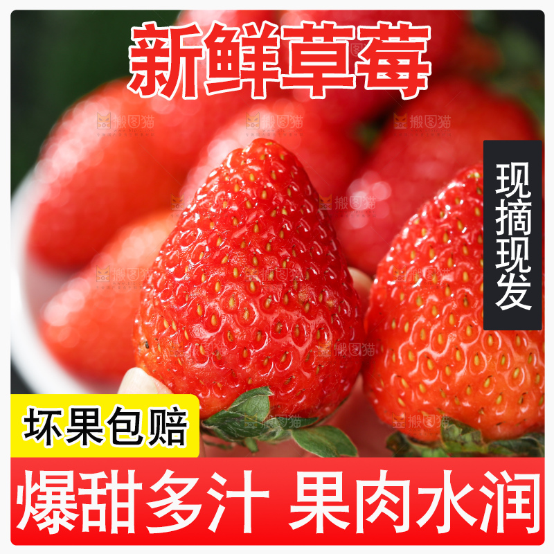 草莓