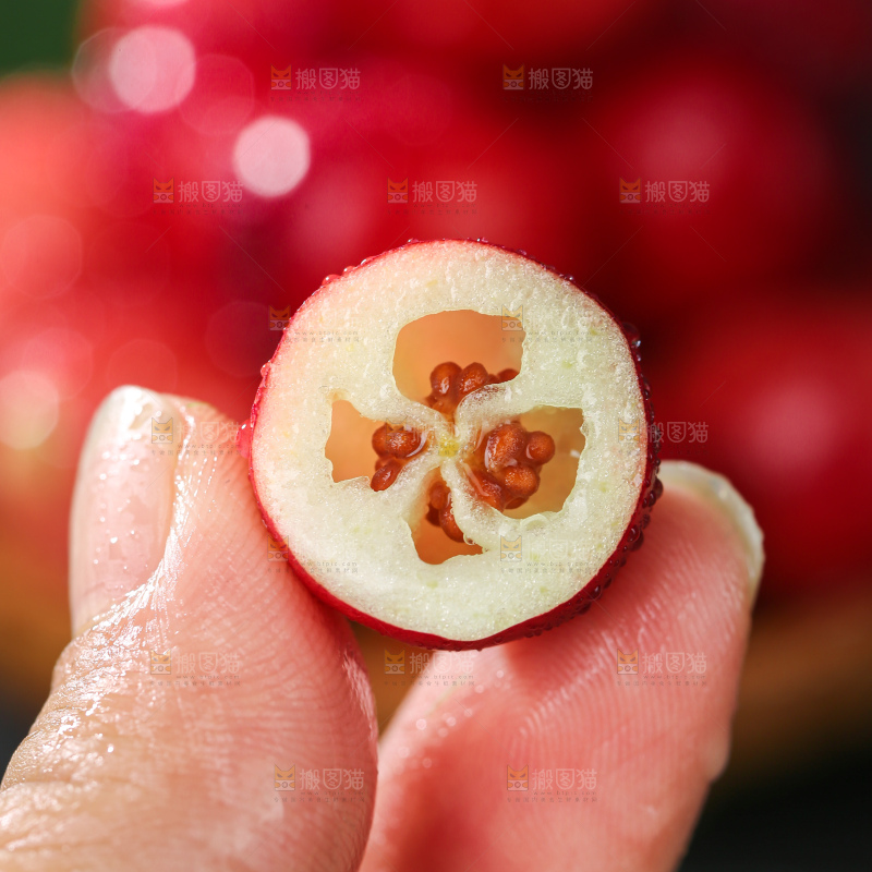 蔓越莓