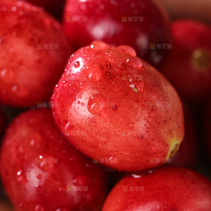 蔓越莓