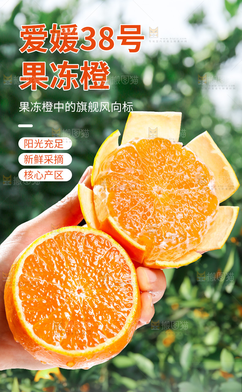爱媛果冻橙详情页
