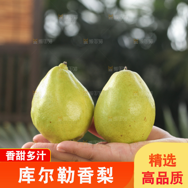 库尔勒香梨