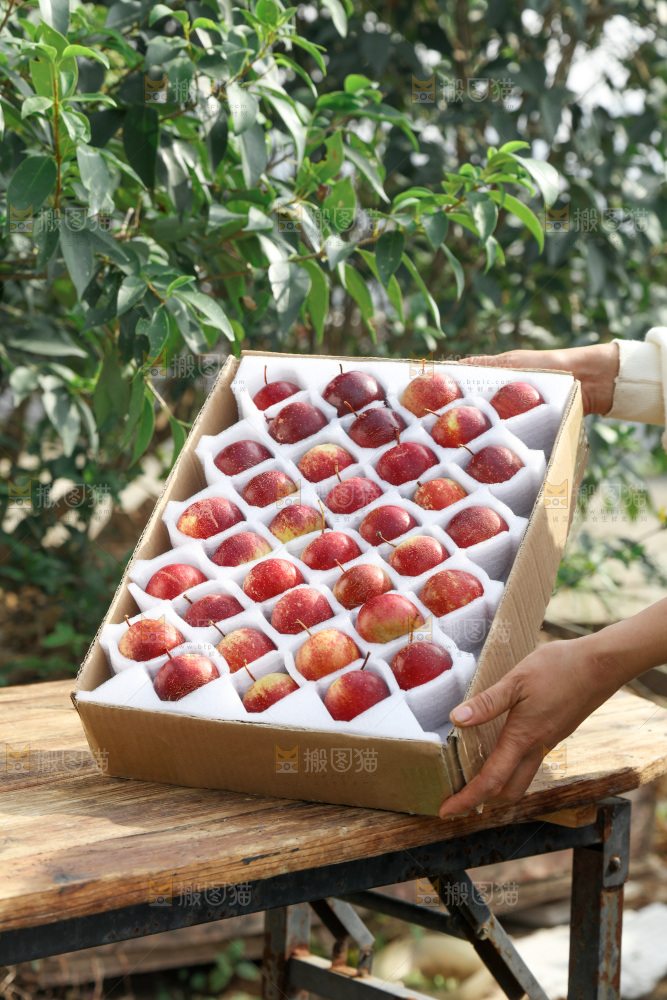 龙丰果