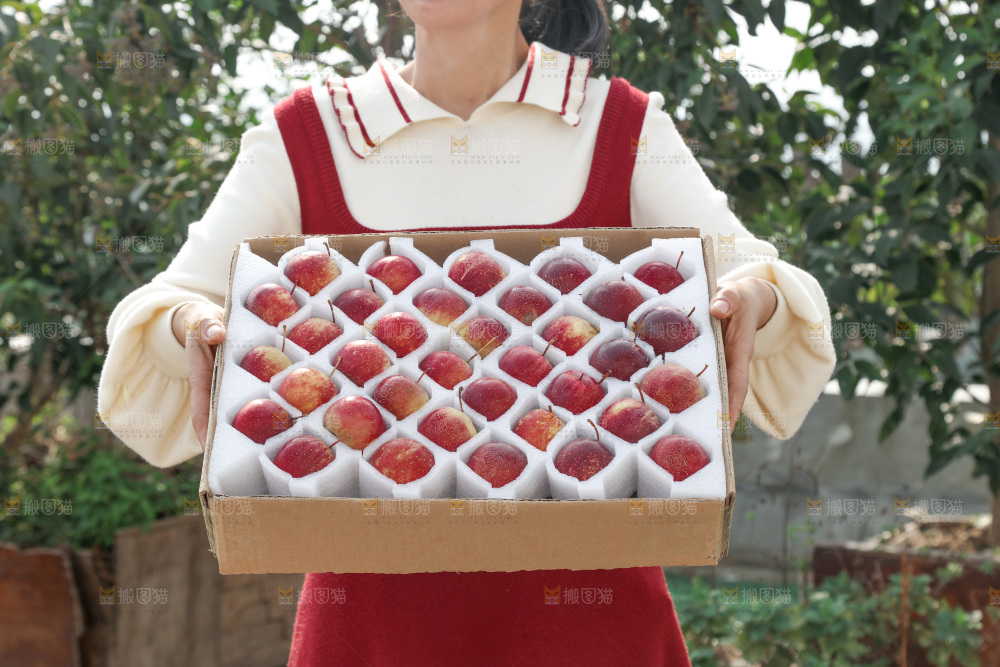龙丰果