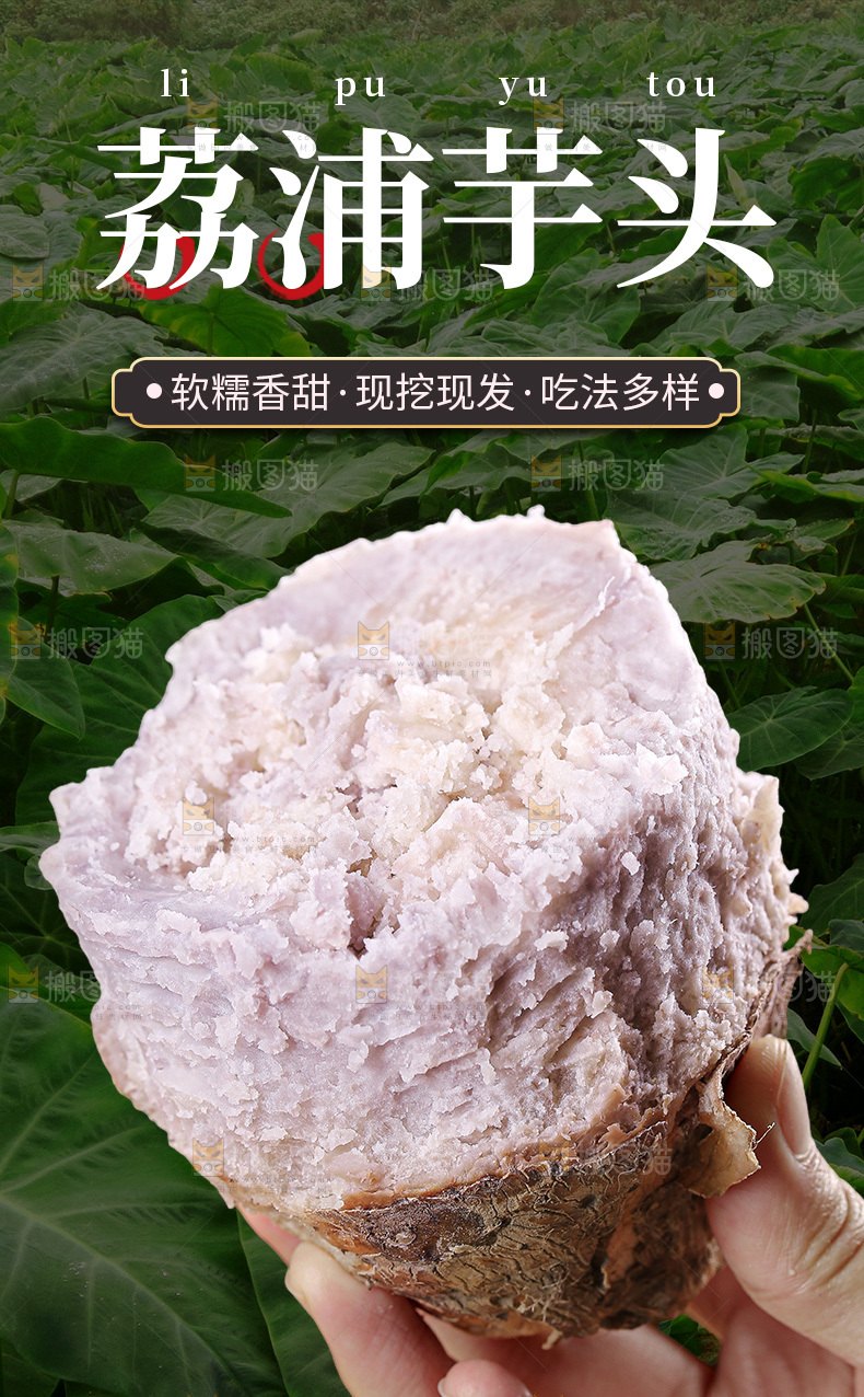 荔浦芋头详情页